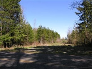 More details for 8838 Blomberg St, Tumwater, WA - Land for Sale