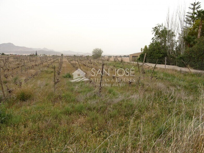 Land in Novelda for sale - Building Photo - Image 3 of 8