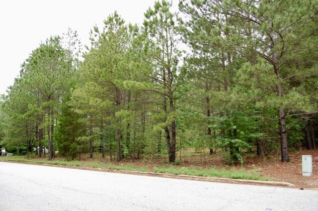 Carnes Dr, Fayetteville, GA for sale Other- Image 1 of 1