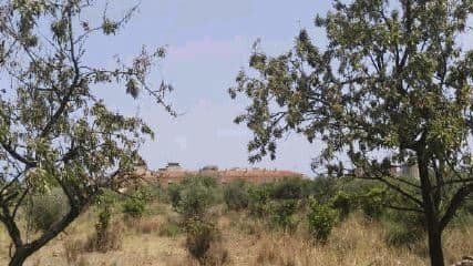 Land in BENICÀSSIM for sale - Building Photo - Image 3 of 3