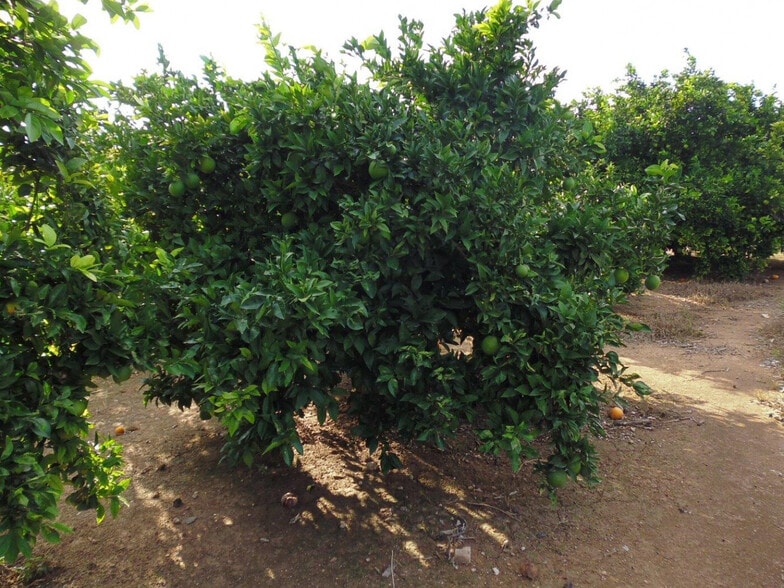 Land in Alzira for sale - Building Photo - Image 2 of 7