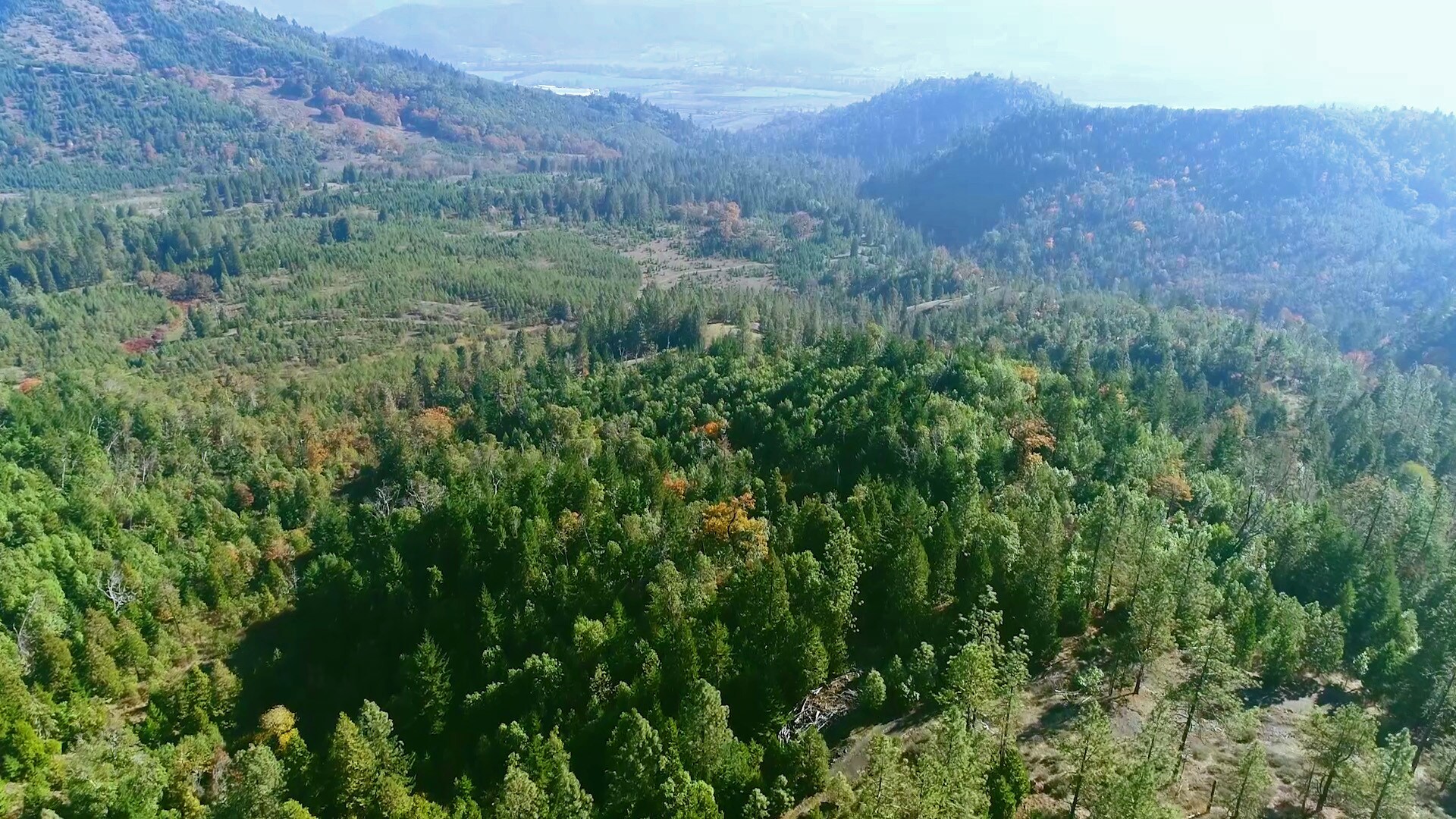 0 Riddle By-pass Rd, Riddle, OR for sale Aerial- Image 1 of 1