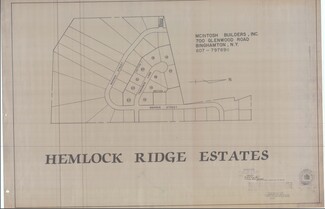 More details for 105 Tamarack Ln, Vestal, NY - Land for Sale