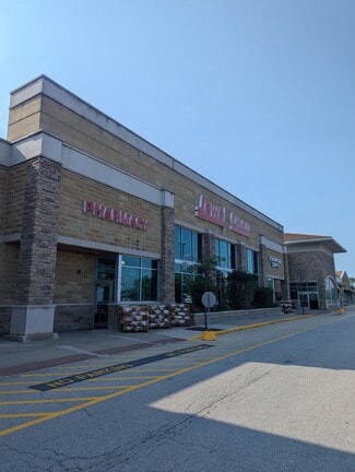 More details for 800 N Main St, Elburn, IL - Retail for Lease