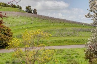 Raw Land Residential American Canyon 9.82 AC - Investment Property