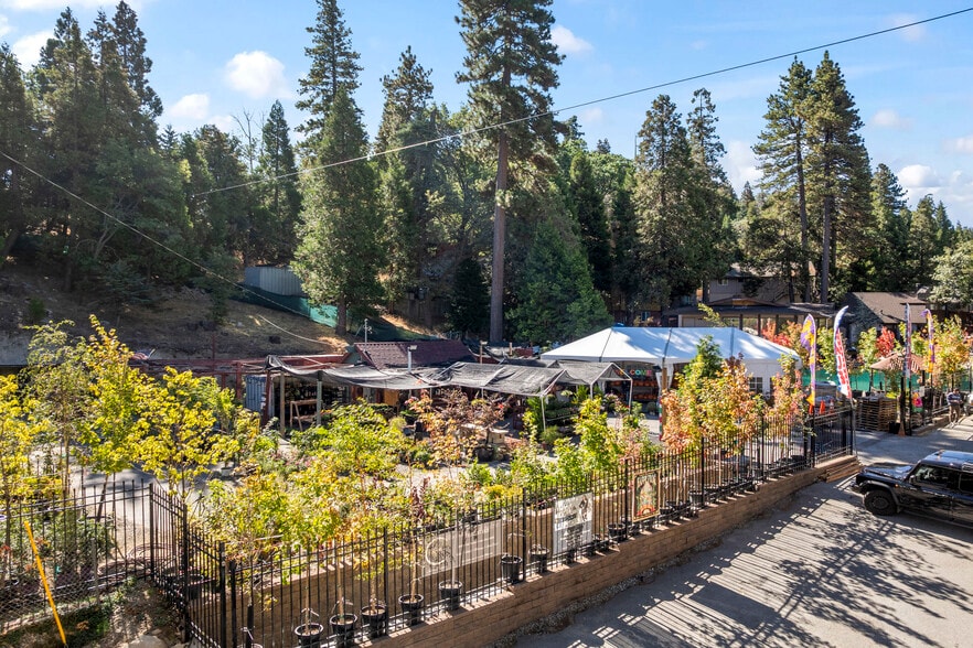 303 CA-173 Hwy, Lake Arrowhead, CA for sale - Aerial - Image 2 of 51
