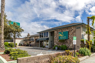 Quality Inn Silicon Valley - Motel