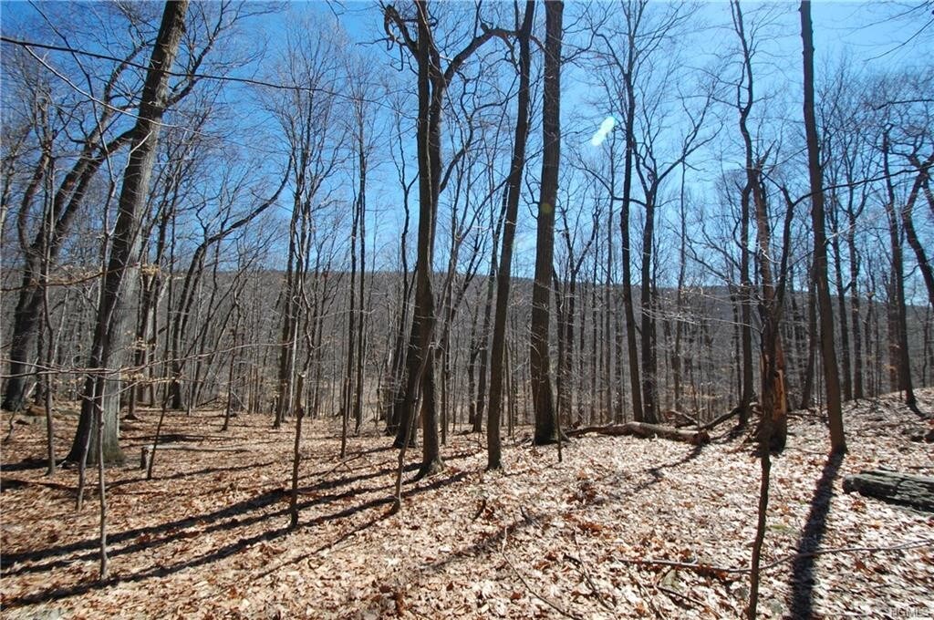 321 Buttermilk Falls Rd, Warwick, NY 10990