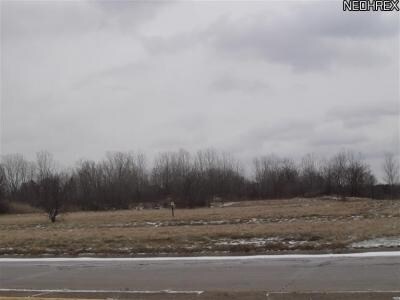 Nesbitt Ave, Akron, OH for sale Primary Photo- Image 1 of 1