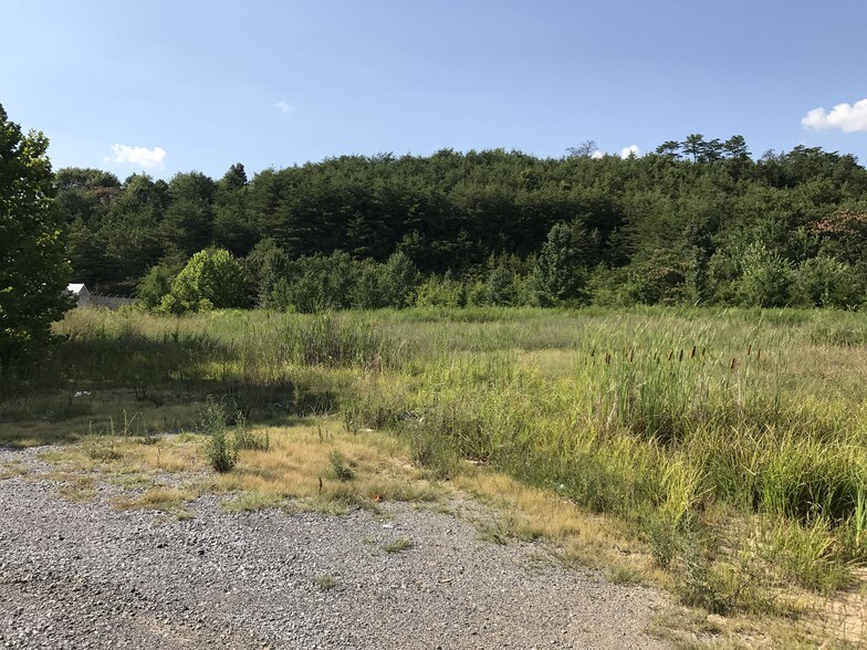 Wears Valley Rd, Pigeon TN 37863