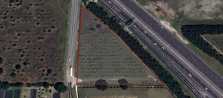 More details for 0 S Binion Rd, Apopka, FL - Land for Sale