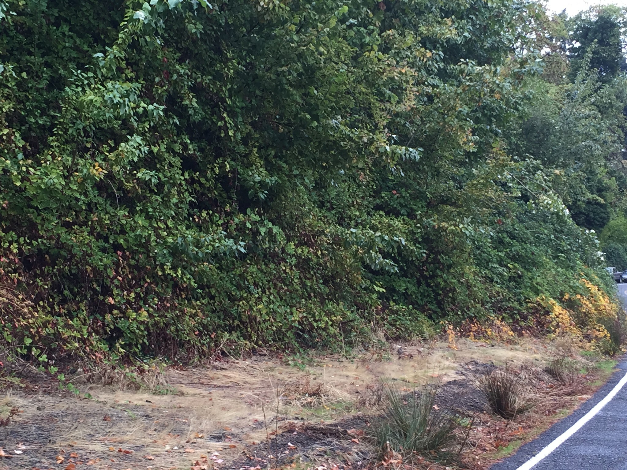 4601 SW Slavin Rd, Portland, OR for sale Other- Image 1 of 1