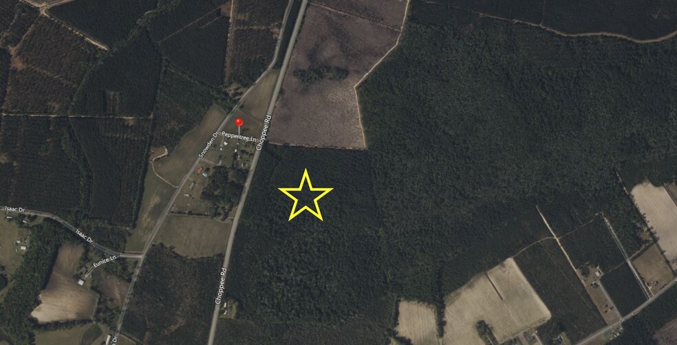 0 Choppee Rd., Hemingway, SC for sale - Aerial - Image 1 of 1