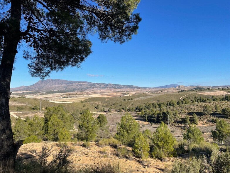 Land in Jumilla for sale - Building Photo - Image 3 of 11