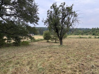 More details for TBD 12.49 CR 1243 Linden Texas 75563, Linden, TX - Land for Sale