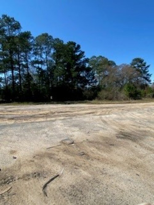 0 US HWY 19 N, Meigs, GA for lease Primary Photo- Image 1 of 5