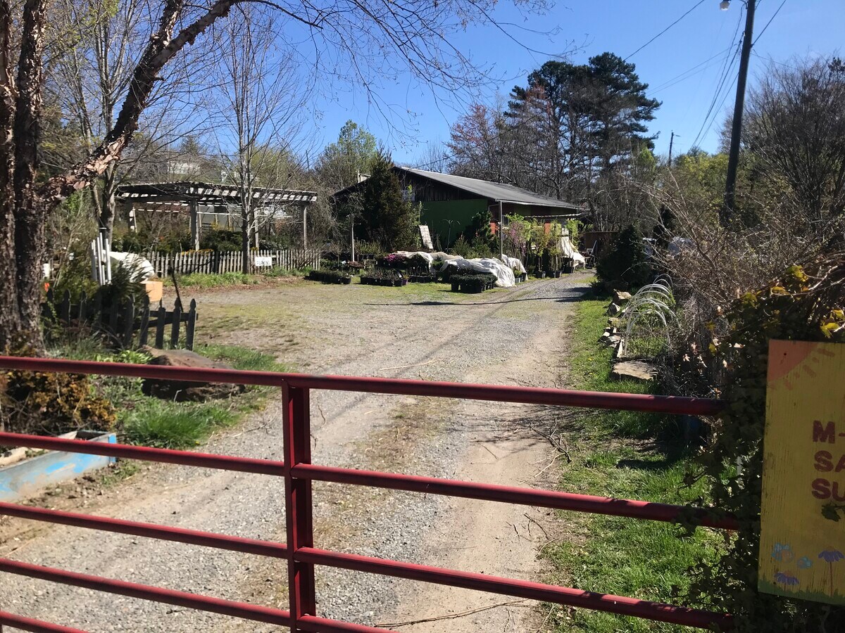 10 Mimidis Ln, Swannanoa, NC 28778