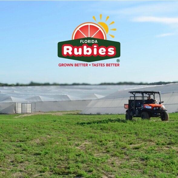 2050 80 Foot Rd, Bartow, FL for sale - Other - Image 3 of 11