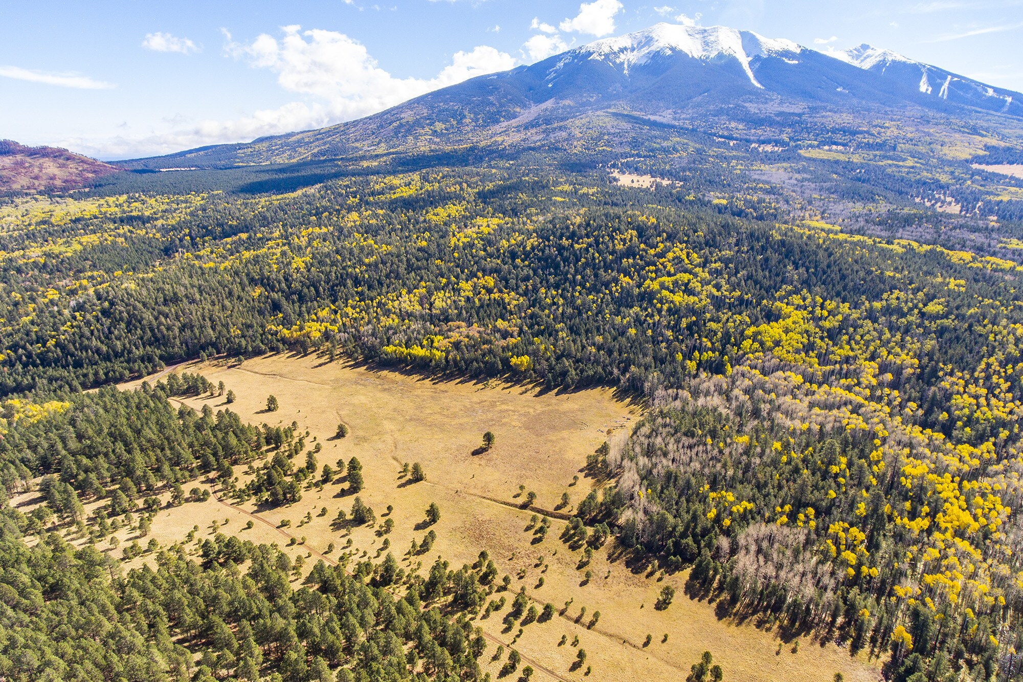 Hart Pr, Flagstaff, AZ for sale Other- Image 1 of 1