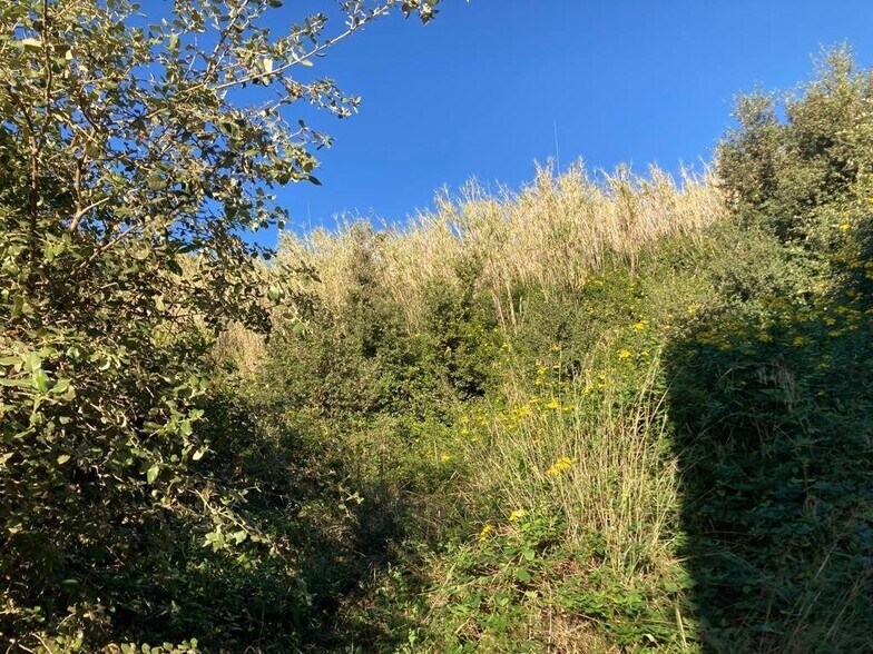 Carrer Romero de Torres, 32B, Pineda de Mar, Barcelona for sale - Building Photo - Image 2 of 3