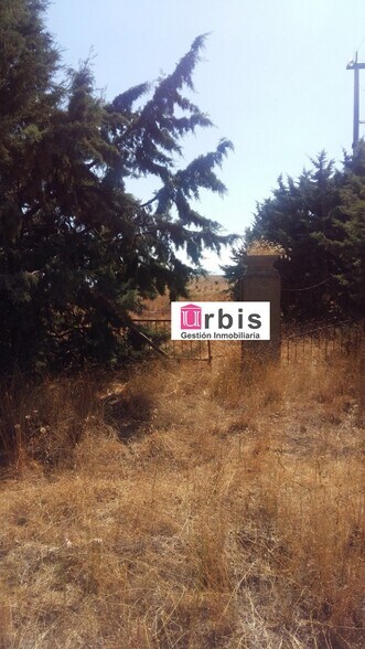 Land in Buenavista for sale - Building Photo - Image 3 of 3