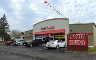 More details for 307-321 E Main St, Carson City, MI - Retail for Sale