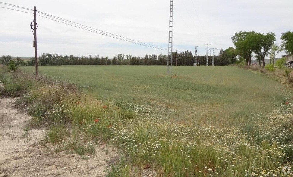 Land in Estremera, Madrid for sale - Primary Photo - Image 1 of 1