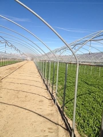 1804 W Bannister Rd, Brawley, CA for sale - Primary Photo - Image 1 of 1