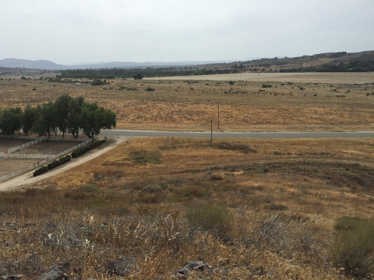 View Photo
