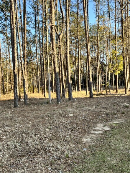 71212 Highway 21, Covington, LA for lease - Building Photo - Image 2 of 3