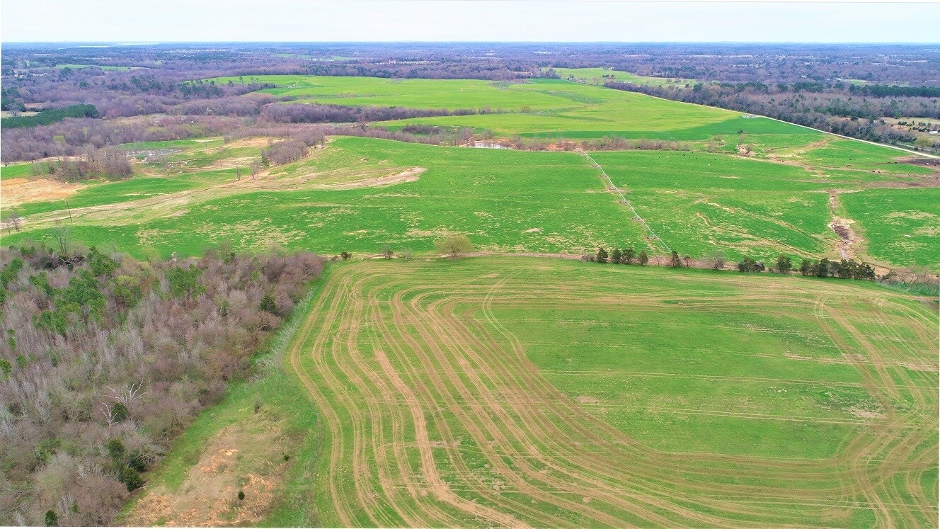 248 County Road 4310, Winnsboro, TX 75494 Amelia Dairy