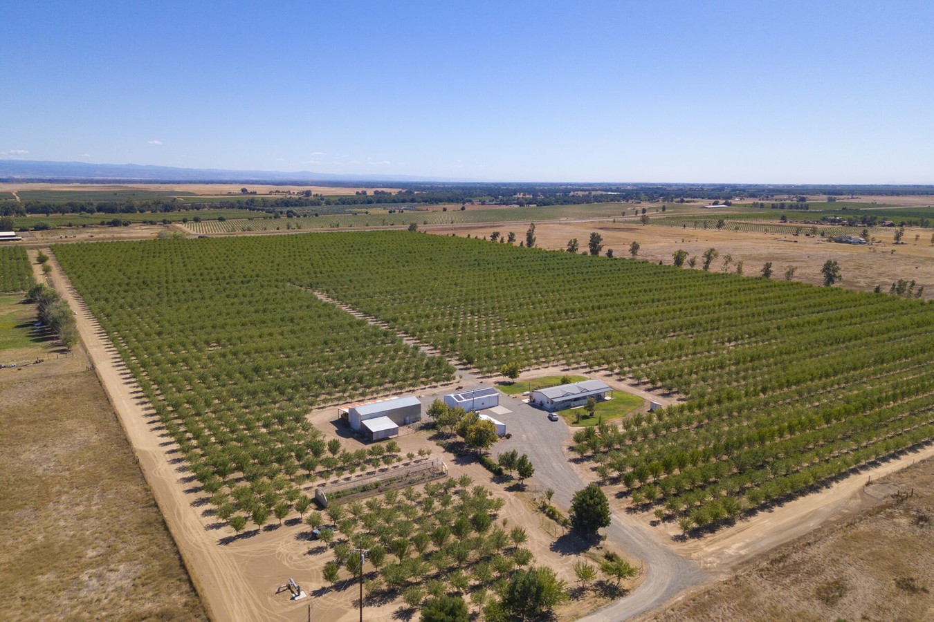 Acres For Sale In Corning Ca