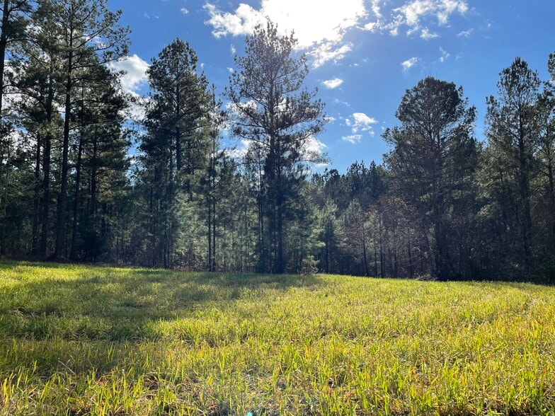 Estes Rd, Piedmont, AL for sale - Other - Image 1 of 1