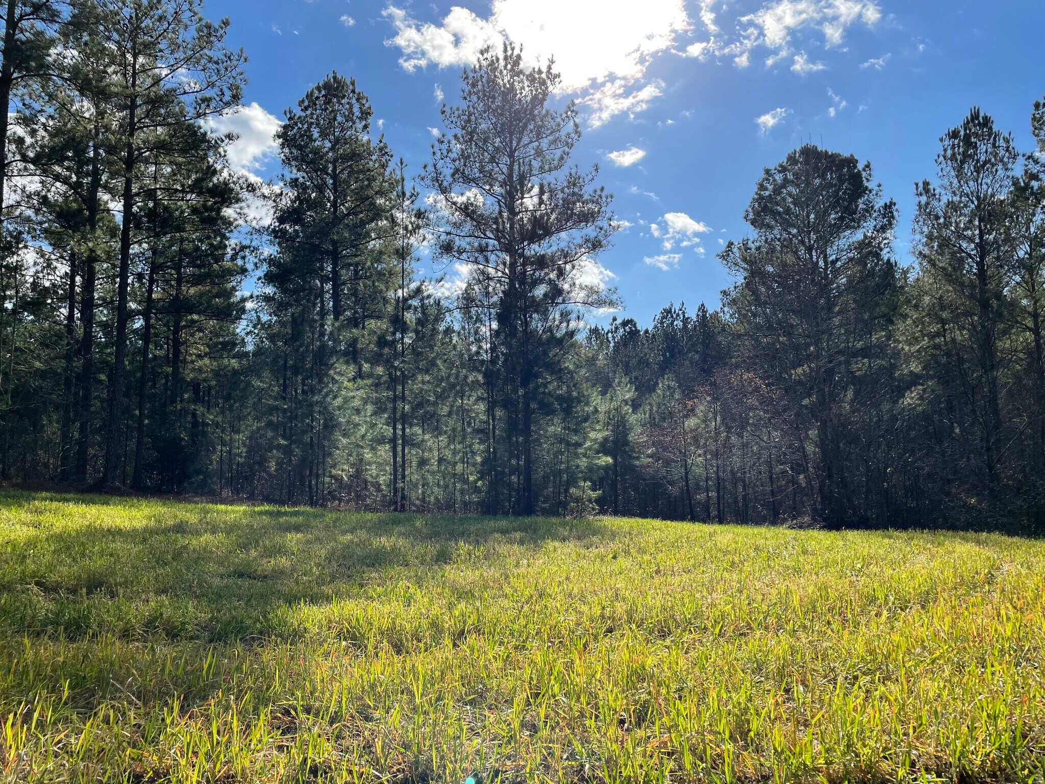 Estes Rd, Piedmont, AL for sale Other- Image 1 of 1