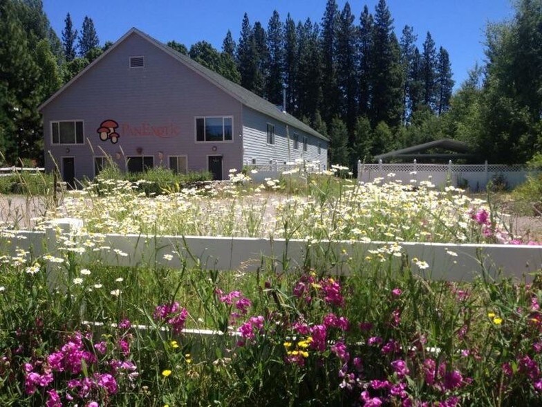 112 Squaw Valley Rd, McCloud, CA for sale - Building Photo - Image 1 of 1