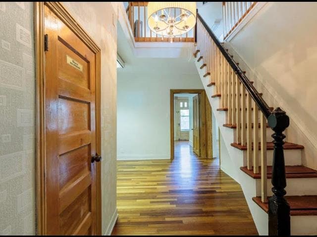 241 Rue Papineau, Gatineau, QC for lease Interior Photo- Image 1 of 20