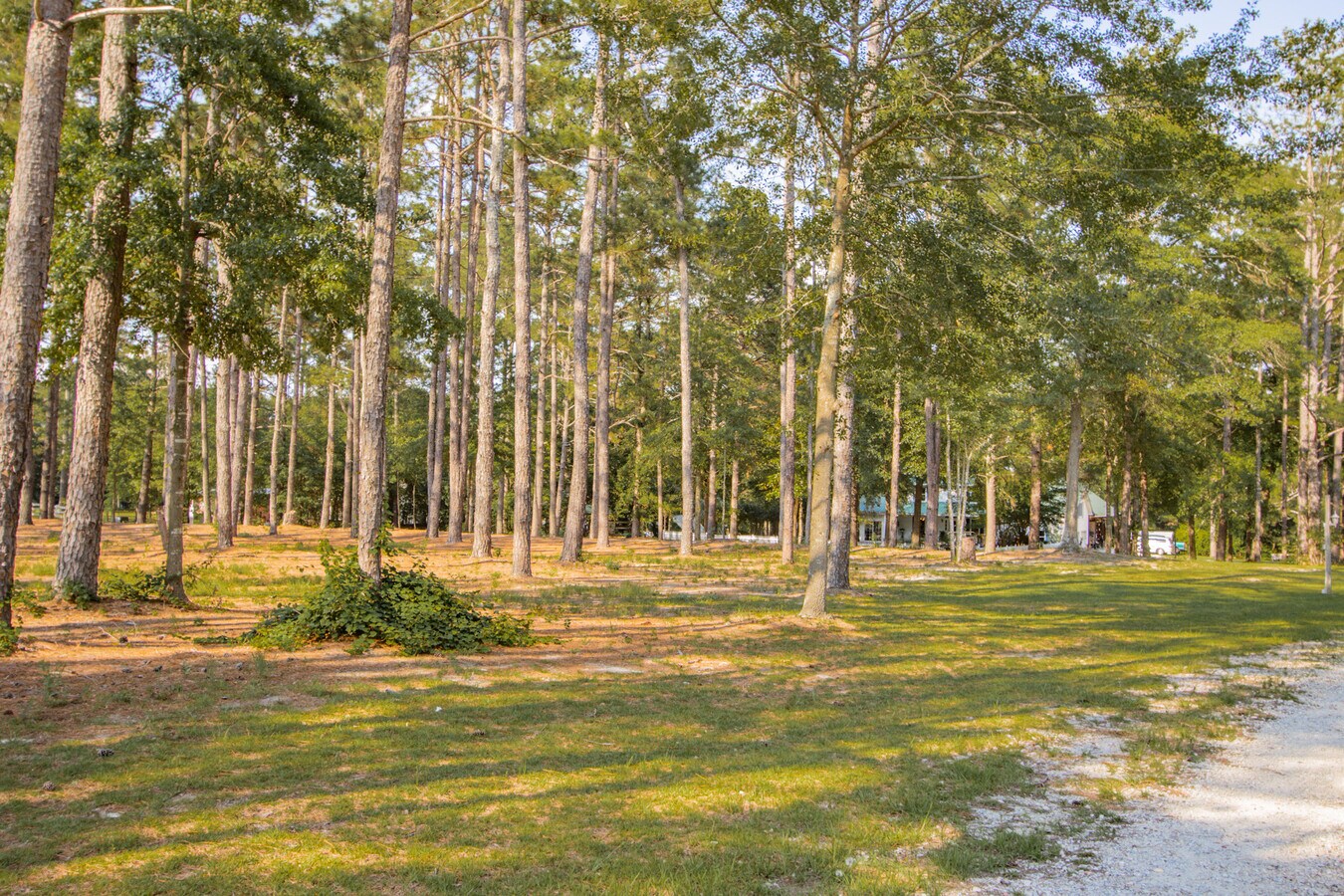 150 Charter Oak Rd, Lexington, SC 29072