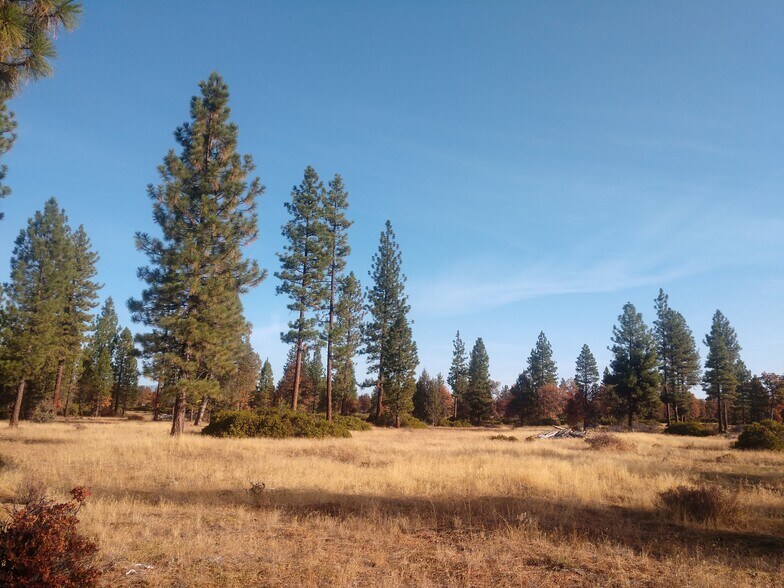 Old Ridge Rd, Cassel, CA 96016