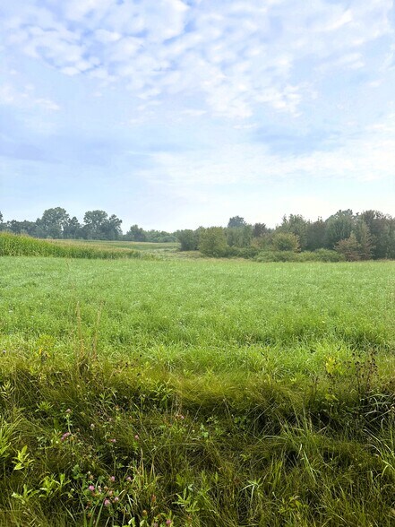 0 W Ellsworth Rd, Chelsea, MI for sale - Building Photo - Image 3 of 9