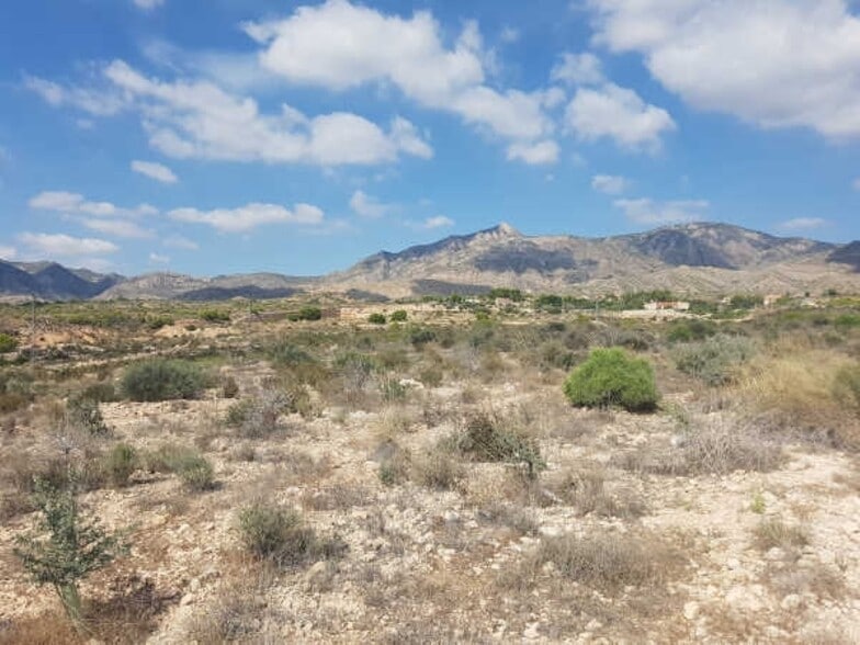 Land in Albatera for sale - Building Photo - Image 3 of 17
