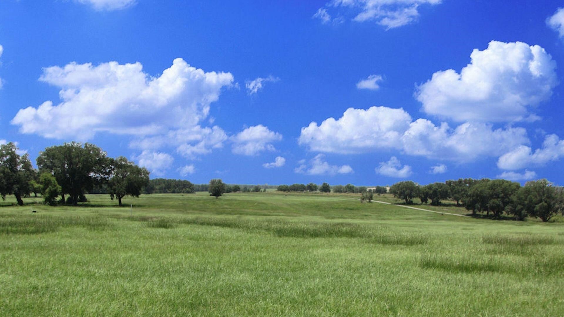 0 SW 10th St, Dunnellon, FL for sale Building Photo- Image 1 of 1
