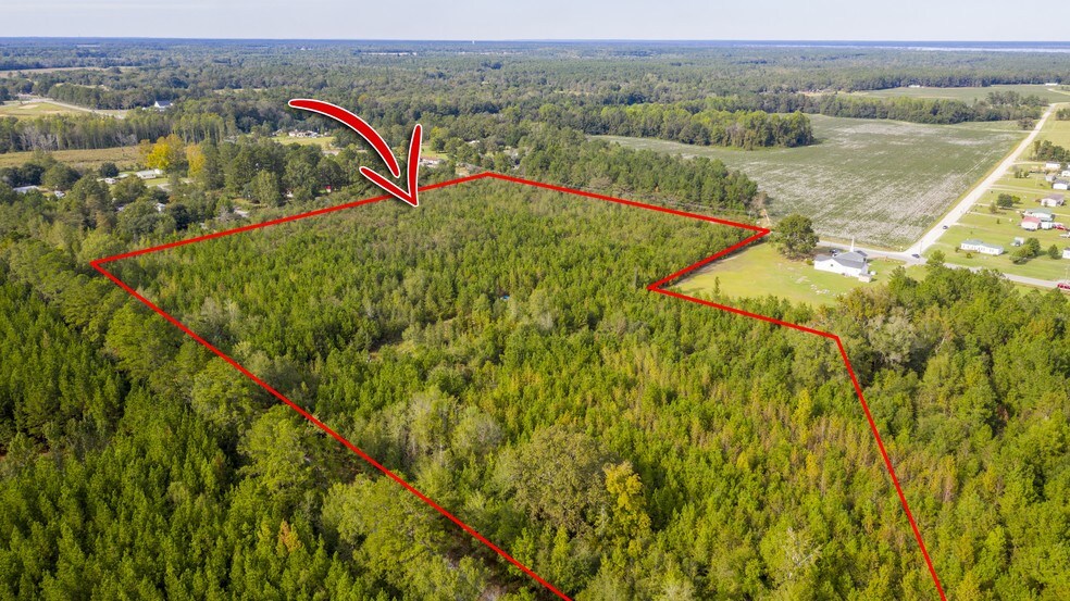 Santee River Rd, Santee, SC for sale - Primary Photo - Image 1 of 1