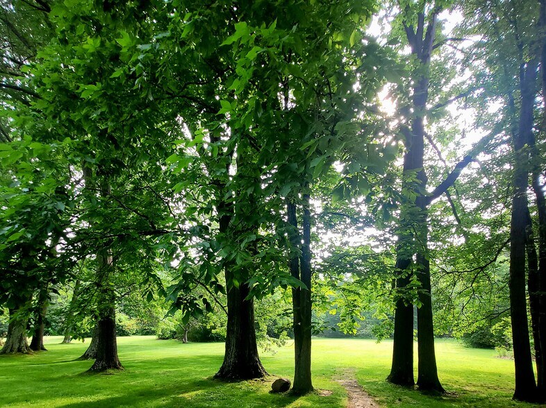 9567 Market St, North Lima, OH for sale - Other - Image 2 of 4