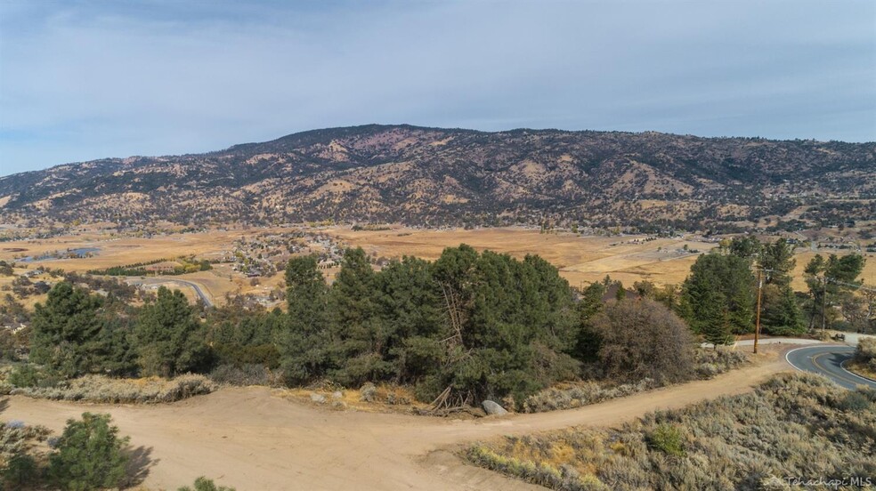 22481 Saddleback Dr, Tehachapi, CA for sale - Primary Photo - Image 1 of 1