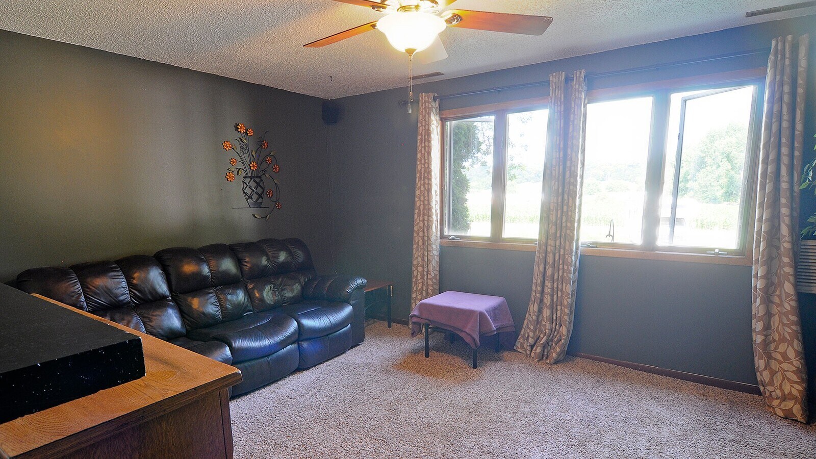 10971112/1160 Oakview Dr, Saint Charles, MN 55972