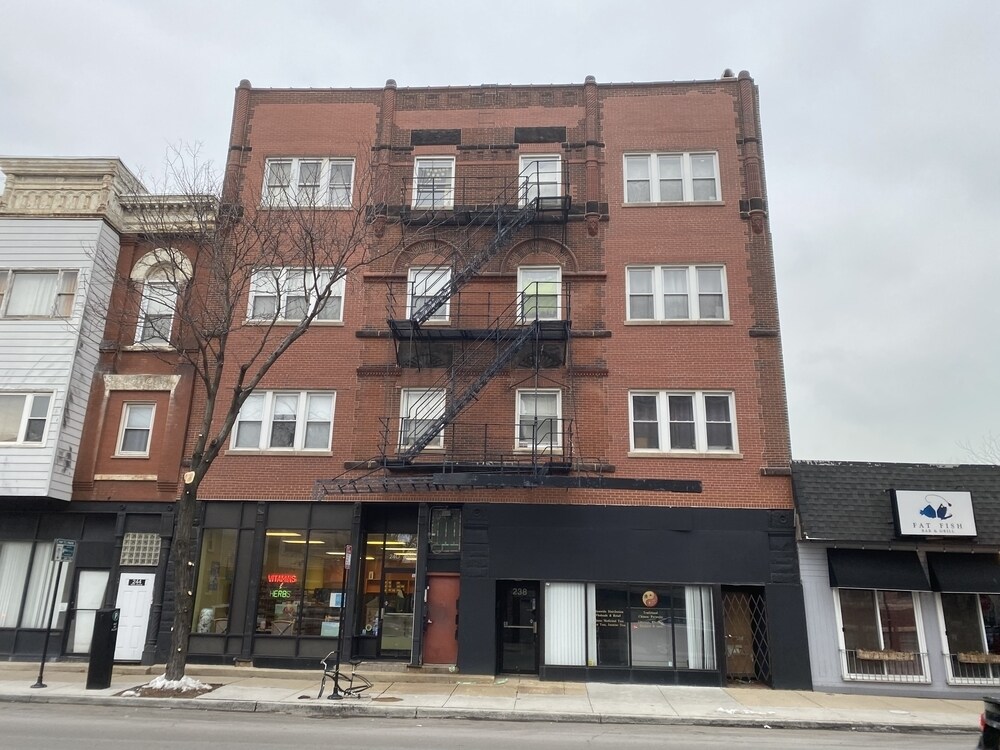 238 W 31st St, Chicago, IL for sale Primary Photo- Image 1 of 1