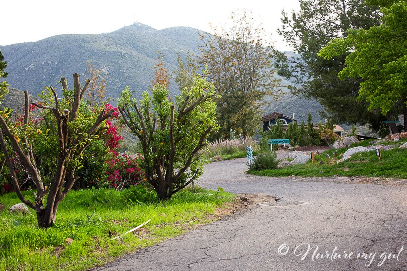 2120 Rainbow Glen Rd, Fallbrook, CA for sale Building Photo- Image 1 of 1