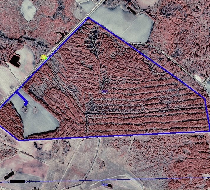 0 Causey Rd, Nichols, SC for sale Primary Photo- Image 1 of 1