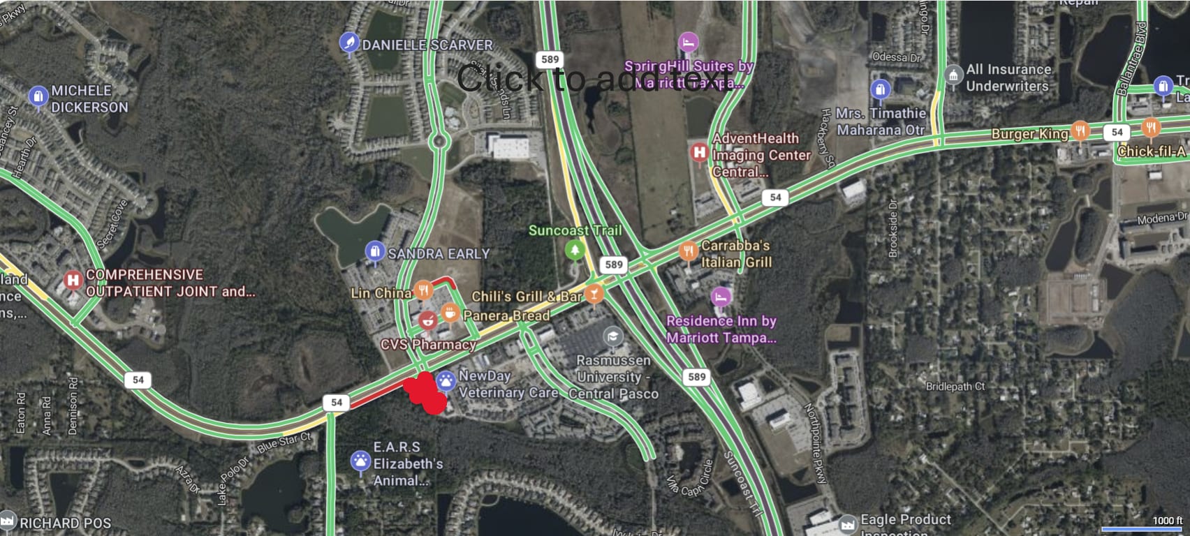 16002 State Road 54, Odessa, FL for lease Plat Map- Image 1 of 2