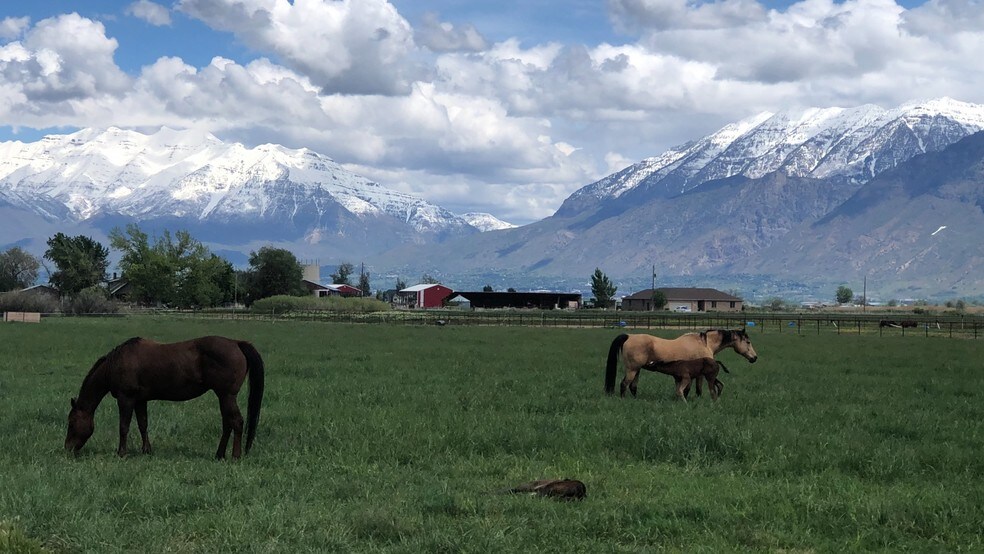 4700 Palmyra Dr, Spanish Fork, UT 84660